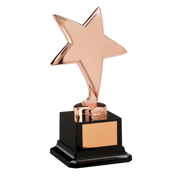 Bronze Star