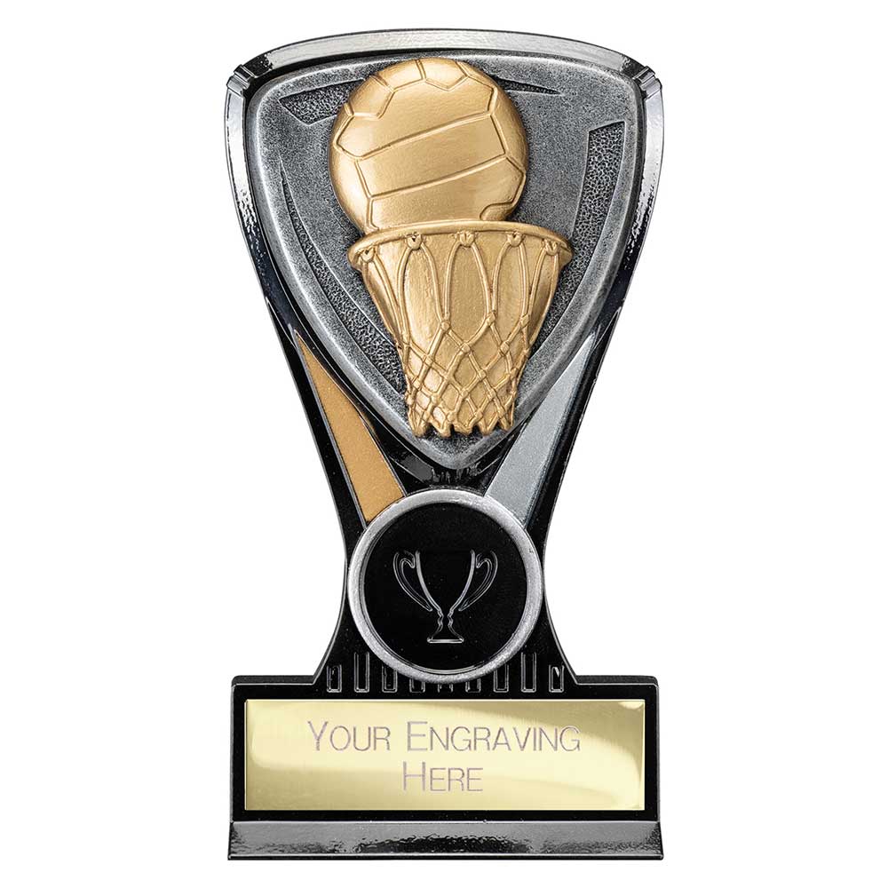 Netball Ball & Hoop Award – Silver