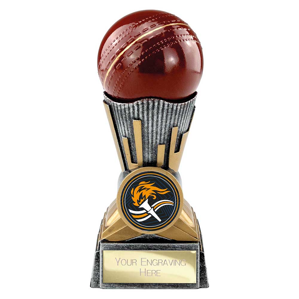 Digital Cricket