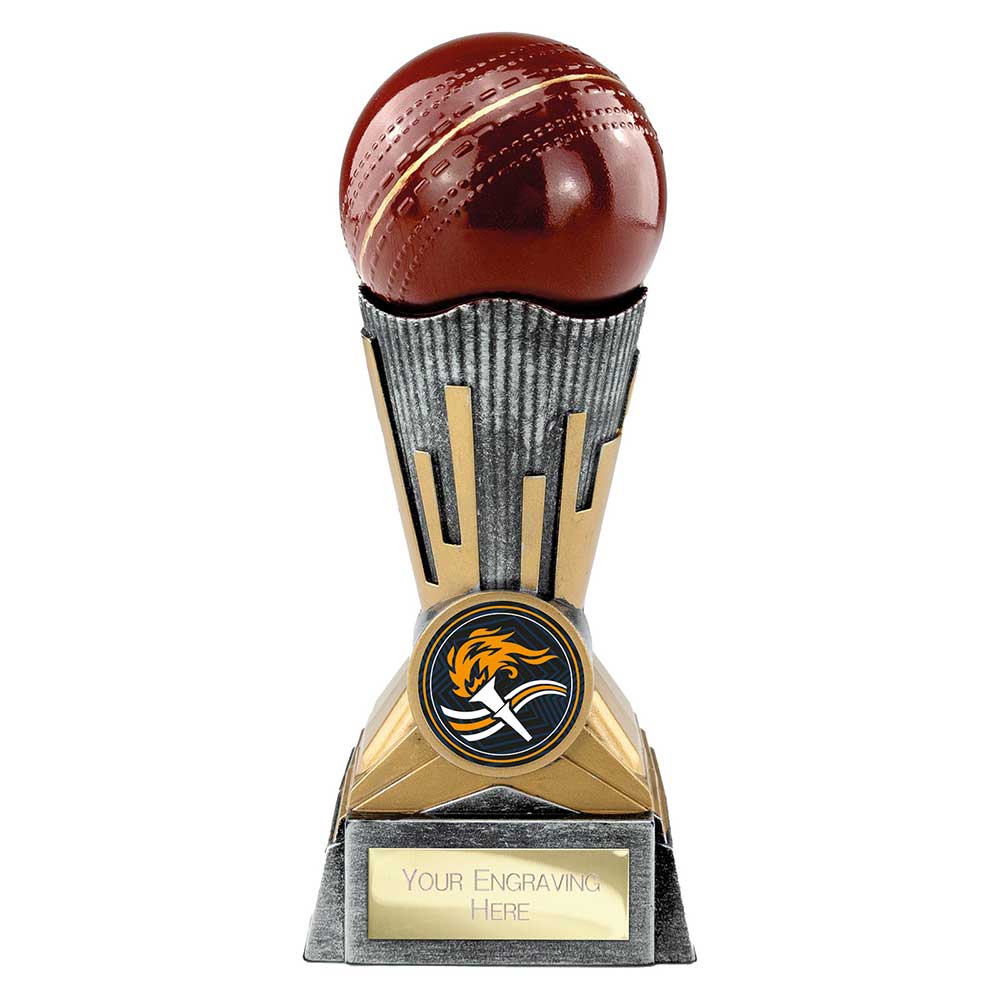Digital Cricket