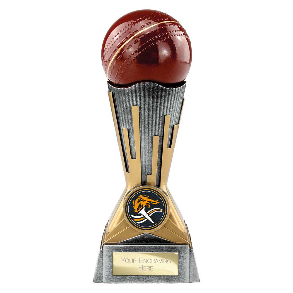 Digital Cricket