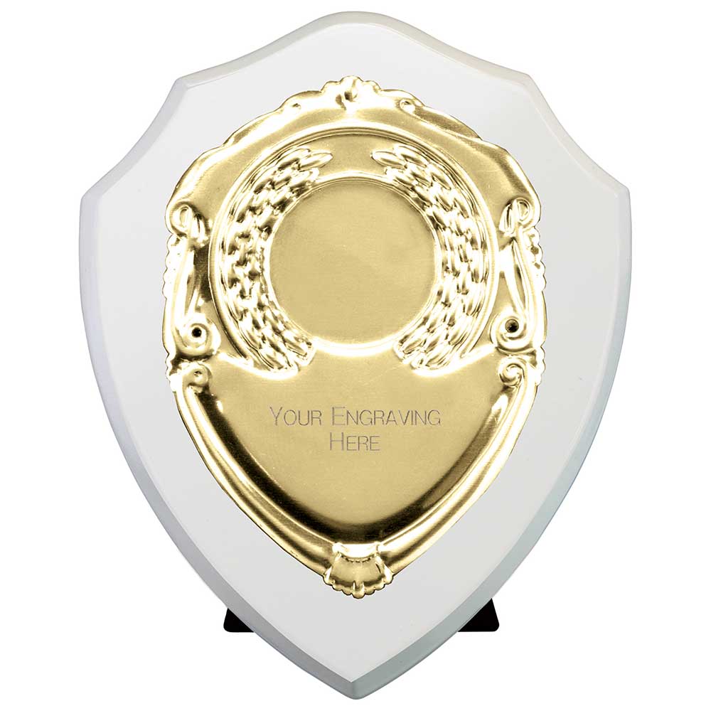 Reward Shields