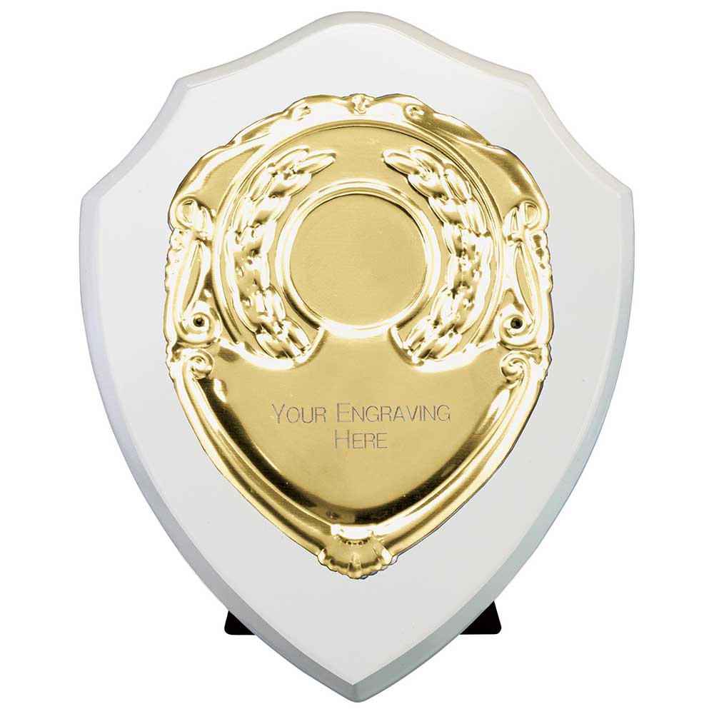 Reward Shields