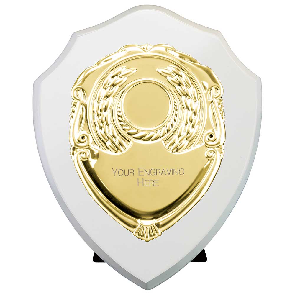 Reward Shields