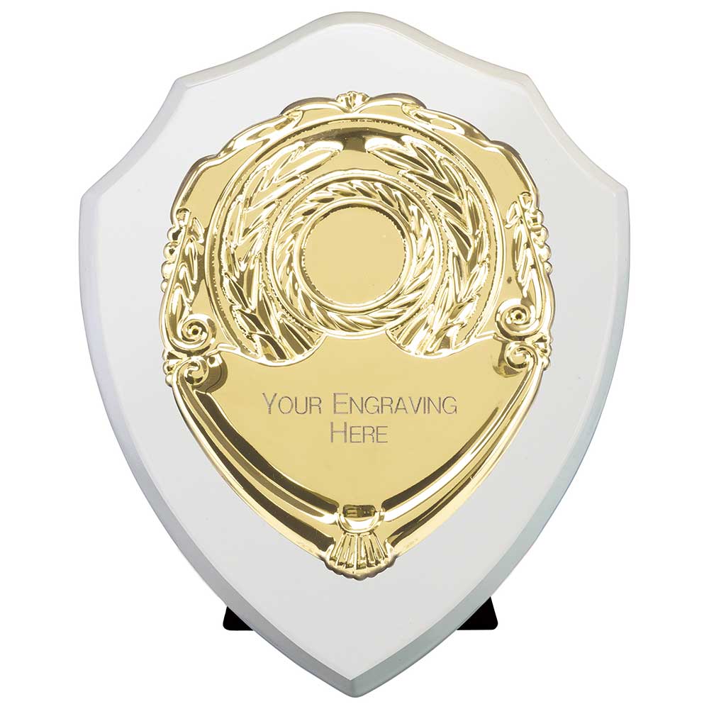 Reward Shields