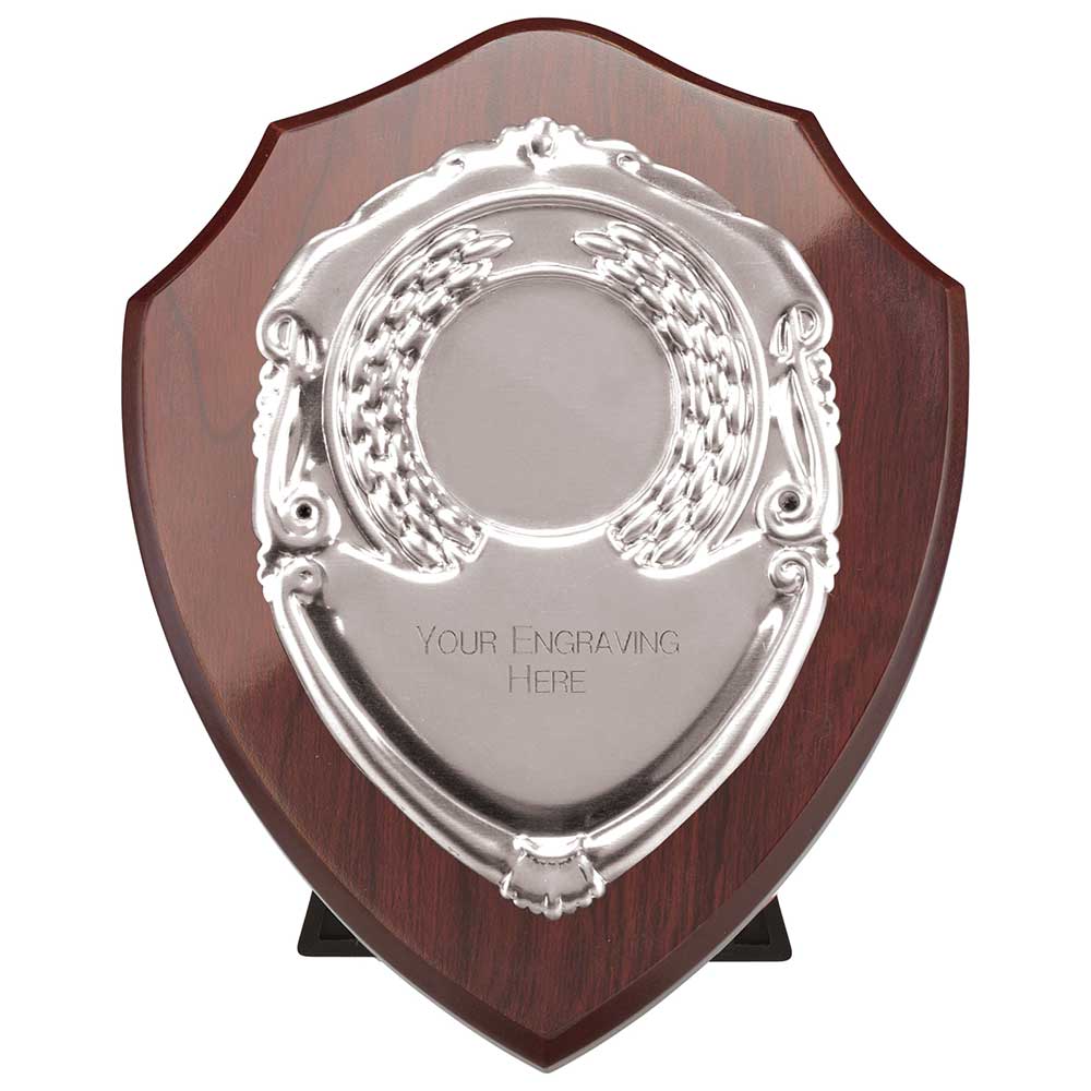 Reward Shields