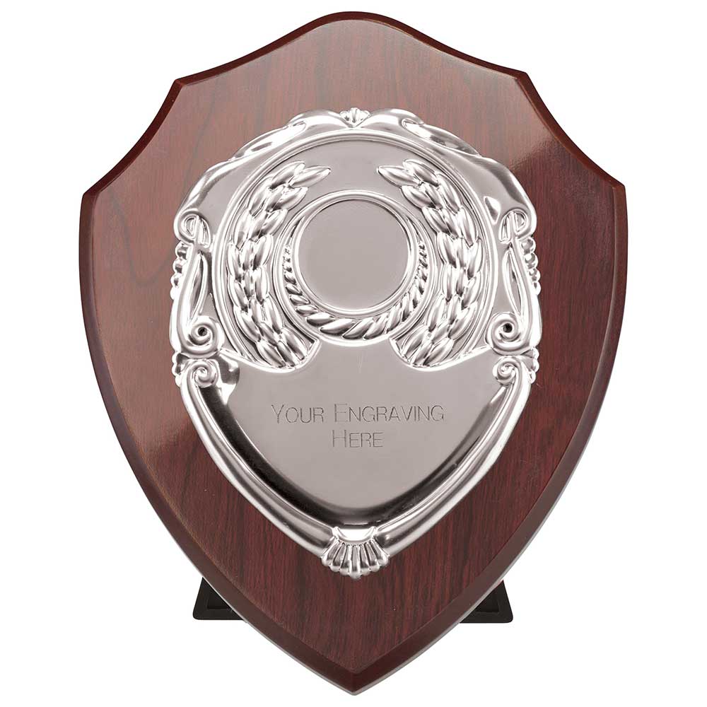 Reward Shields
