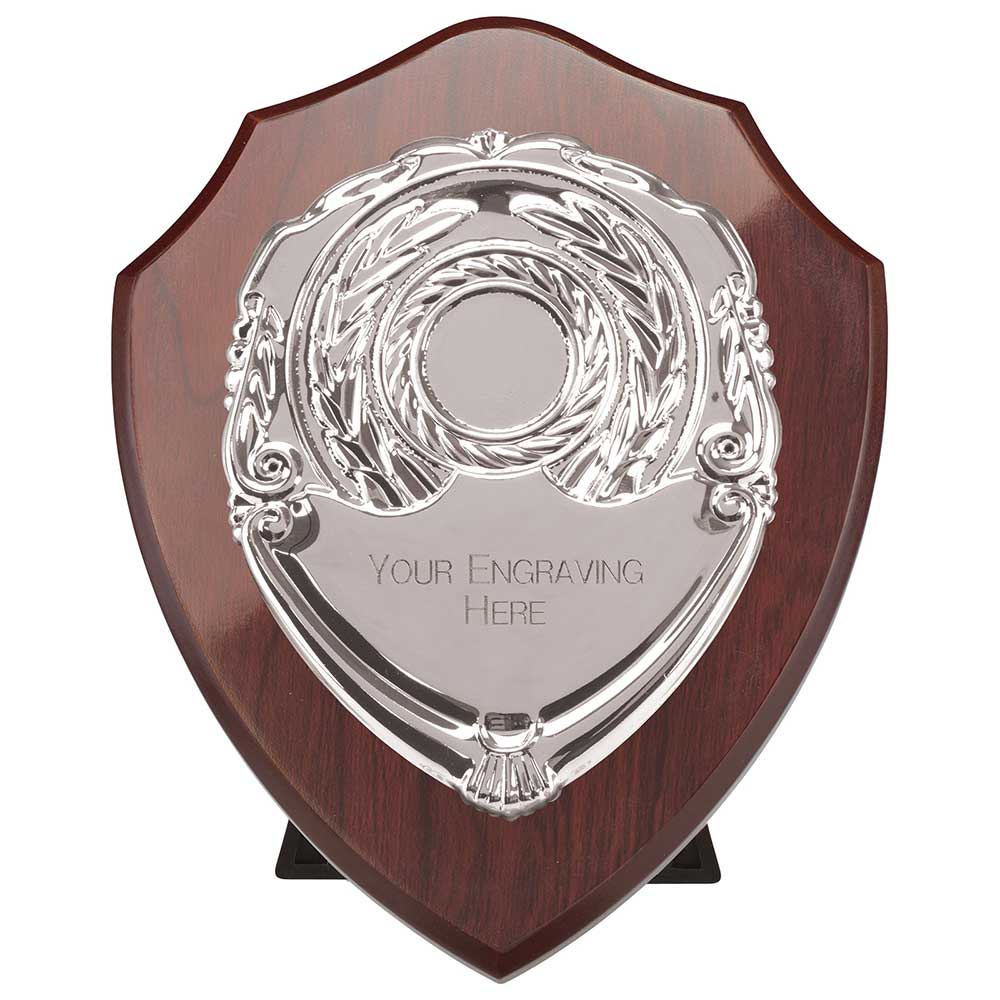 Reward Shields