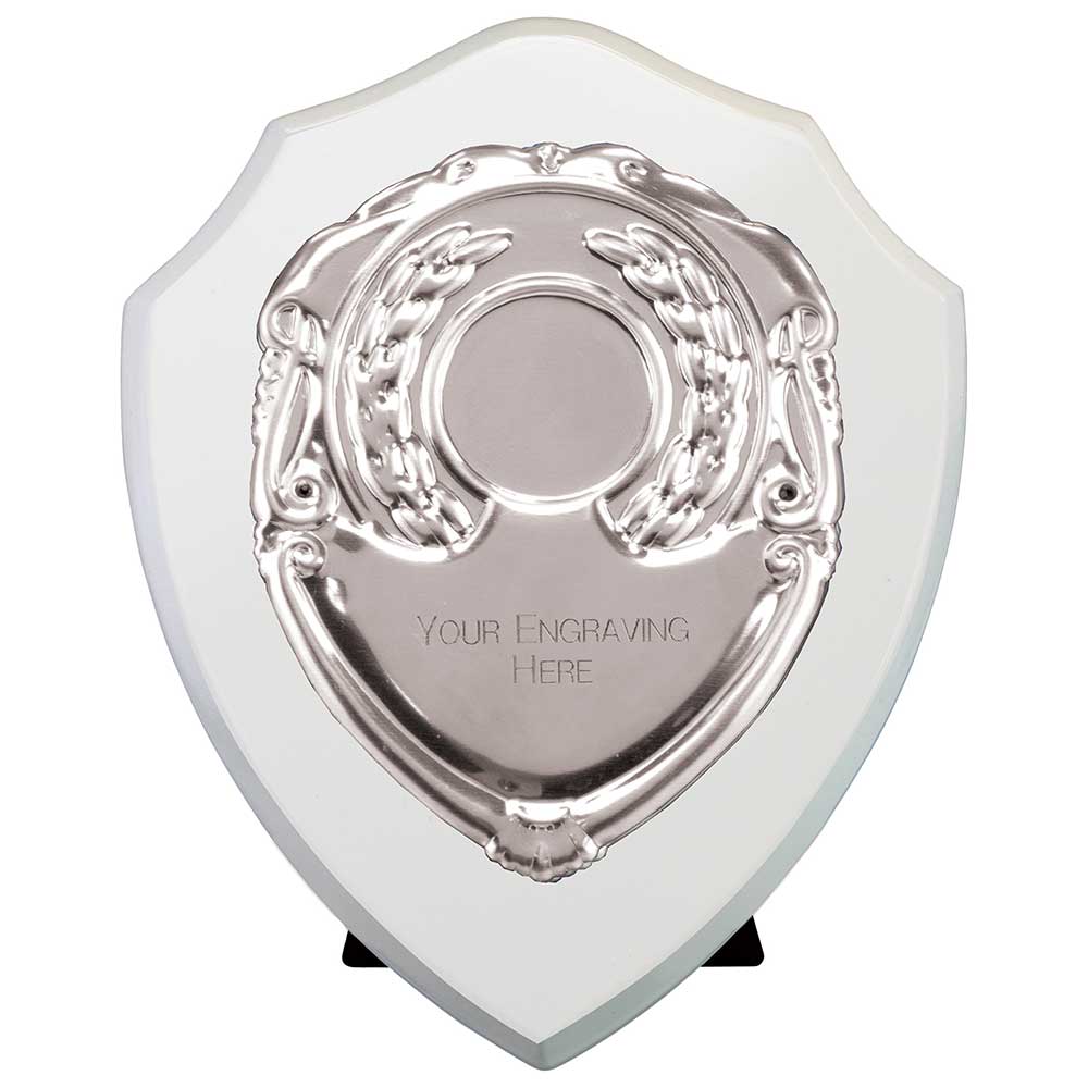 Reward Shields