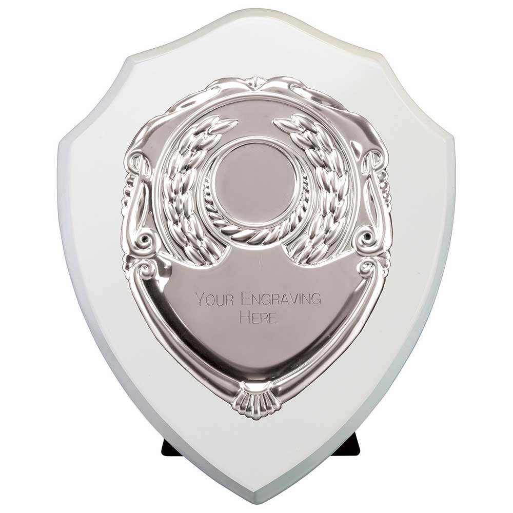 Reward Shields