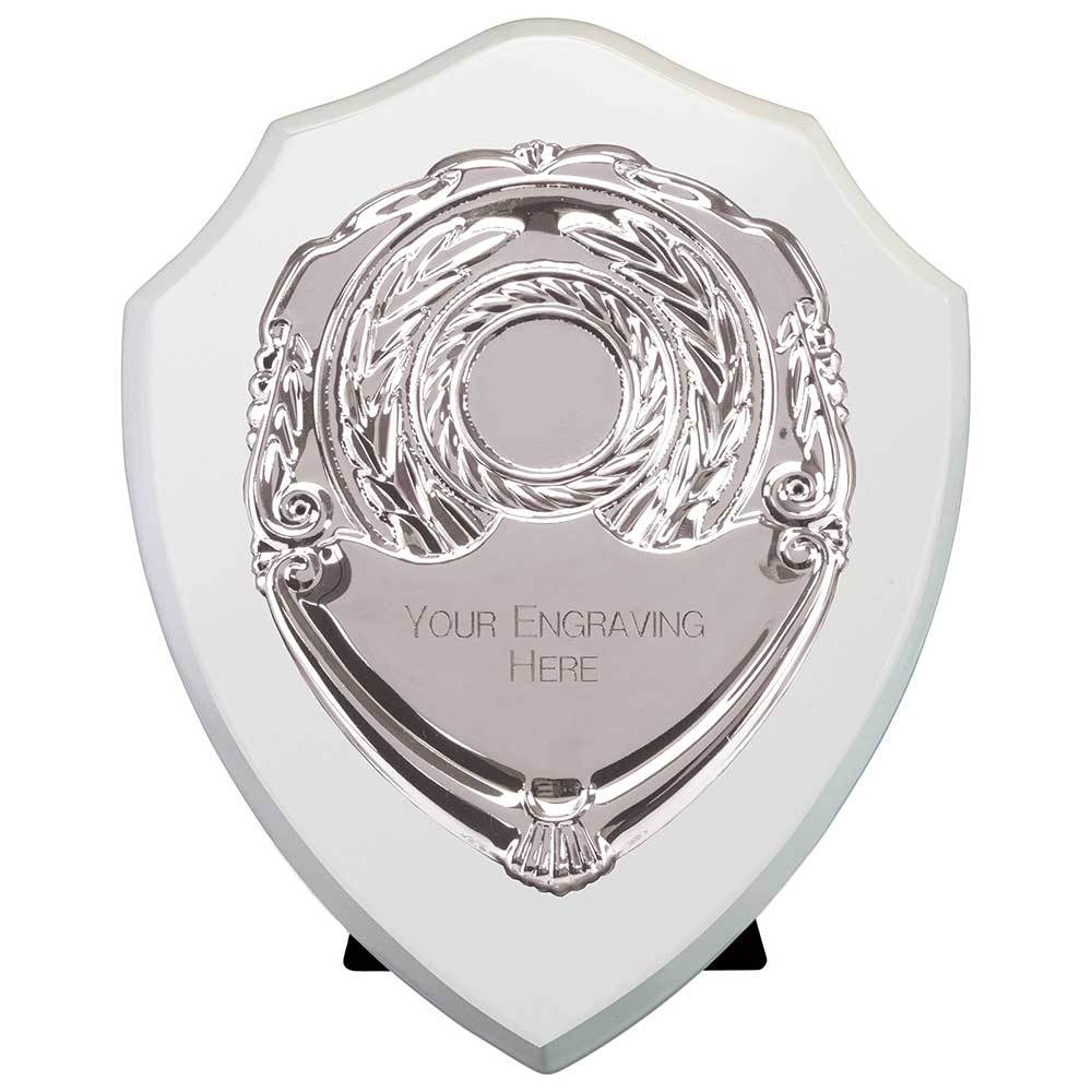 Reward Shields