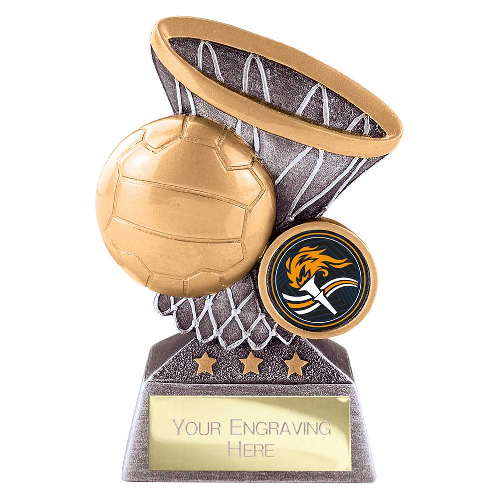 Netball Ball in Hoop Award