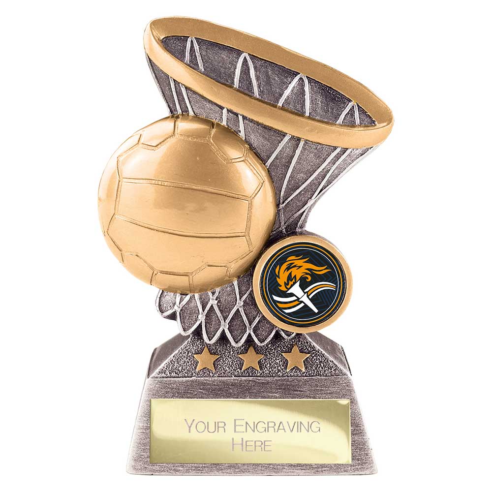 Netball Ball in Hoop Award