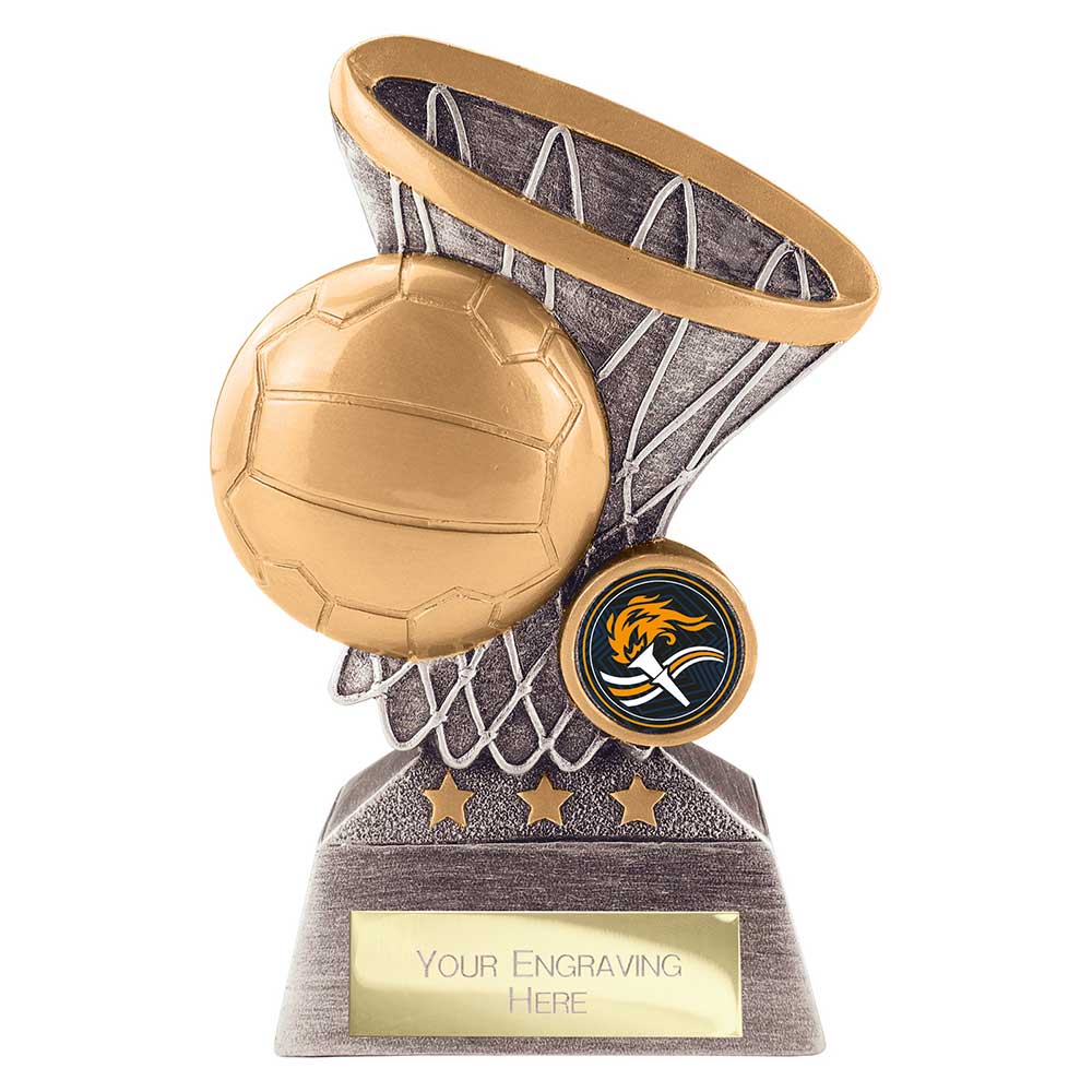 Netball Ball in Hoop Award
