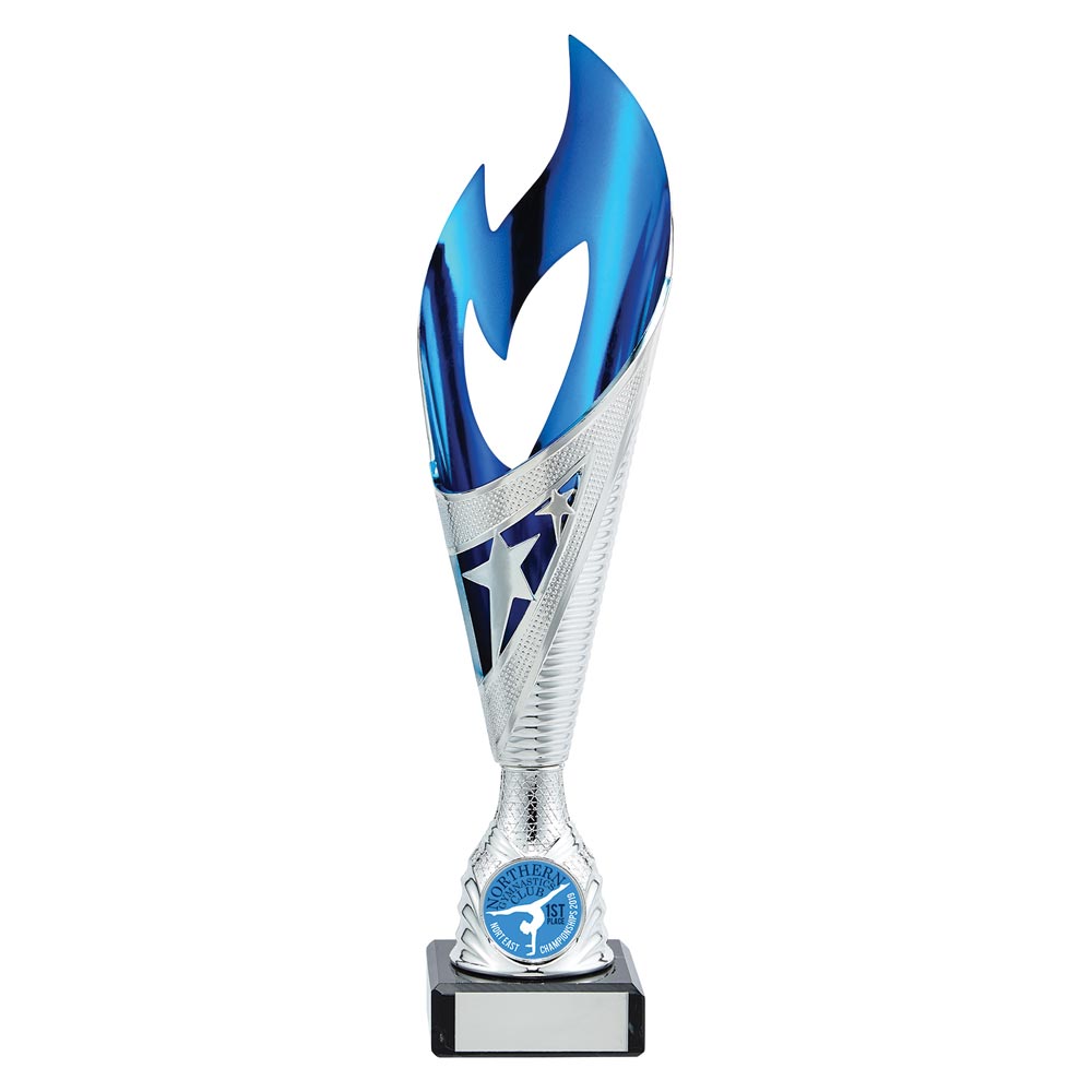 Multisport Award