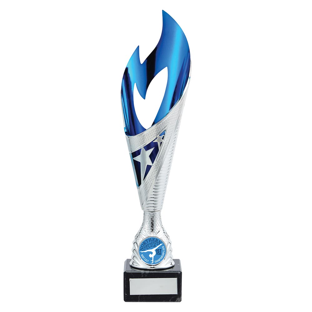 Multisport Award