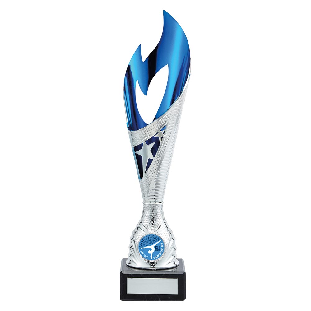 Multisport Award