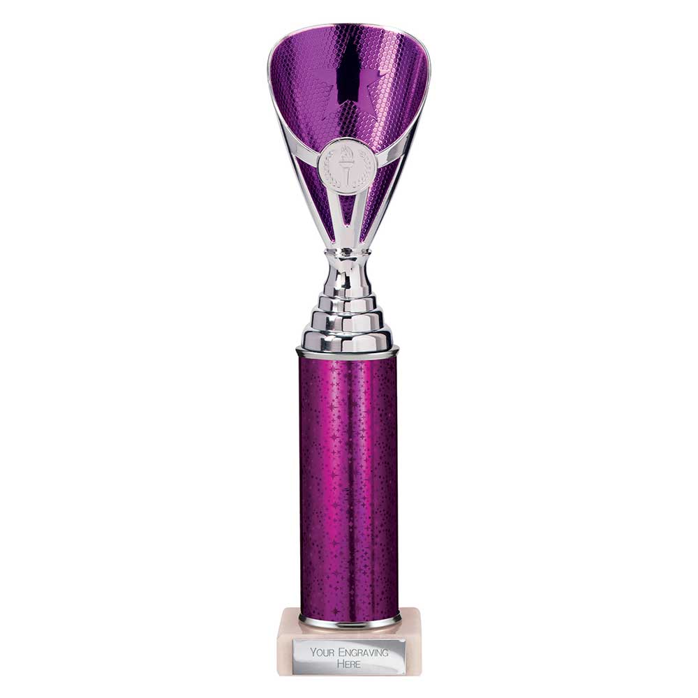 Multisport Award