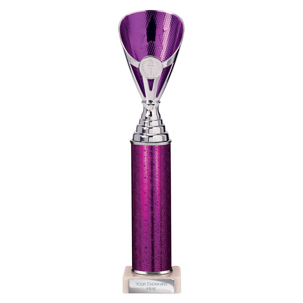Multisport Award