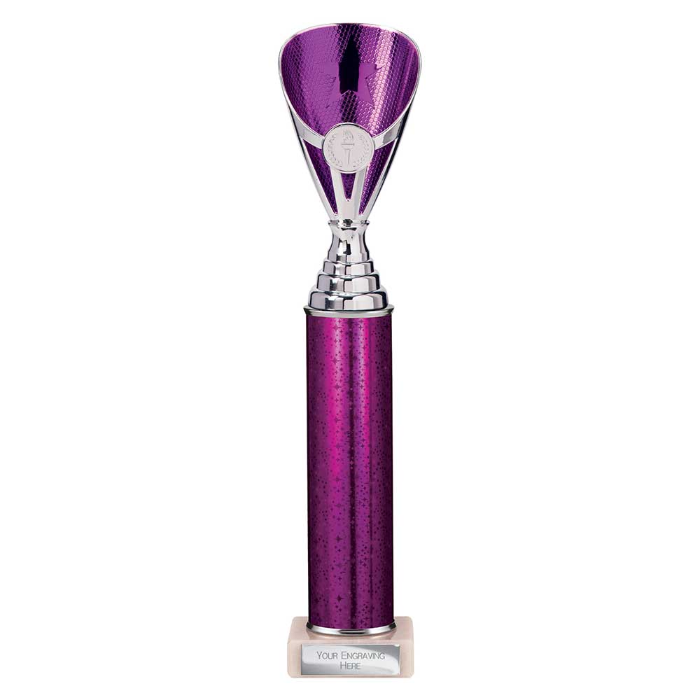 Multisport Award