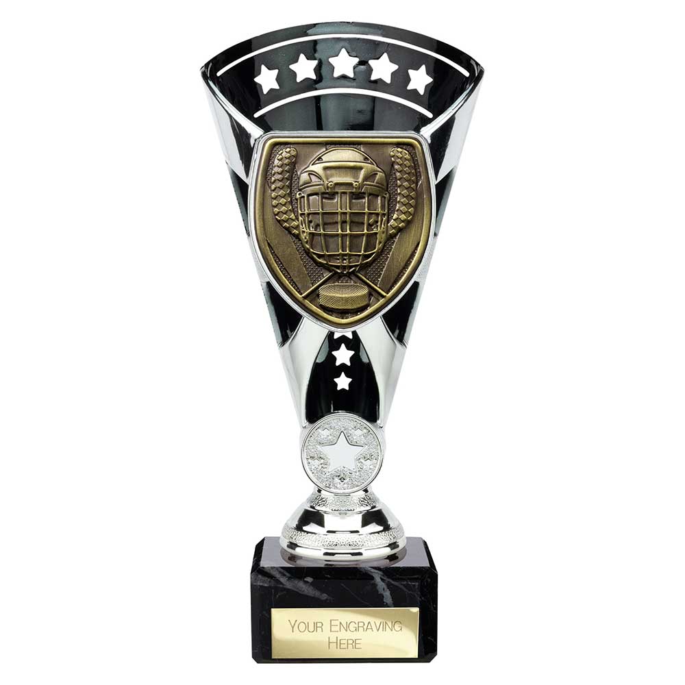 Ice Hockey Award