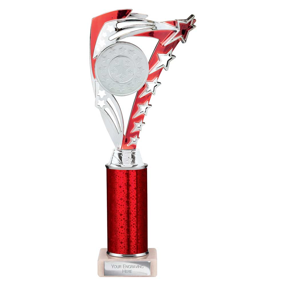 Multisport Award