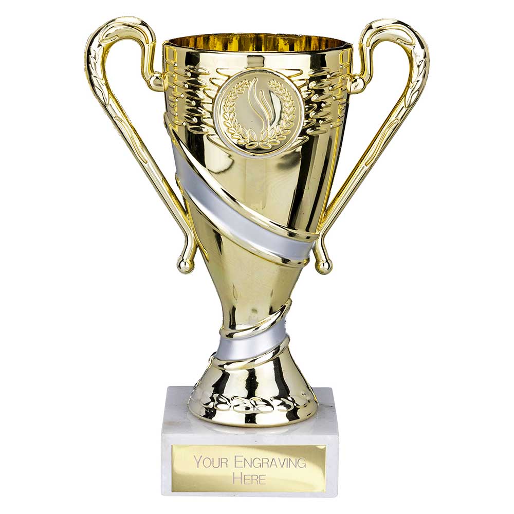 Gold & Silver Cup