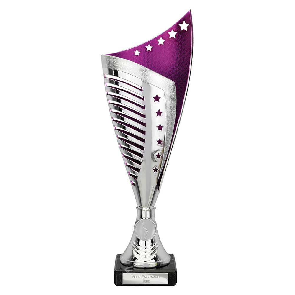 Multisport Award