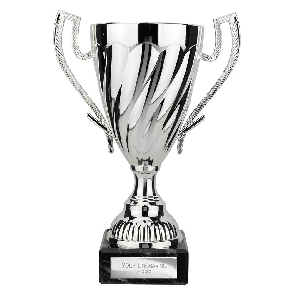 Silver Plastic Cup