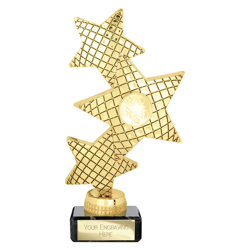 Multisport Award