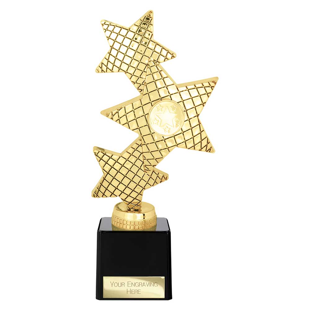 Multisport Award