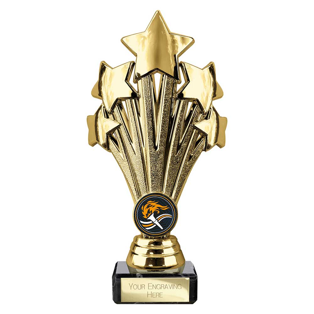 Multisport Award