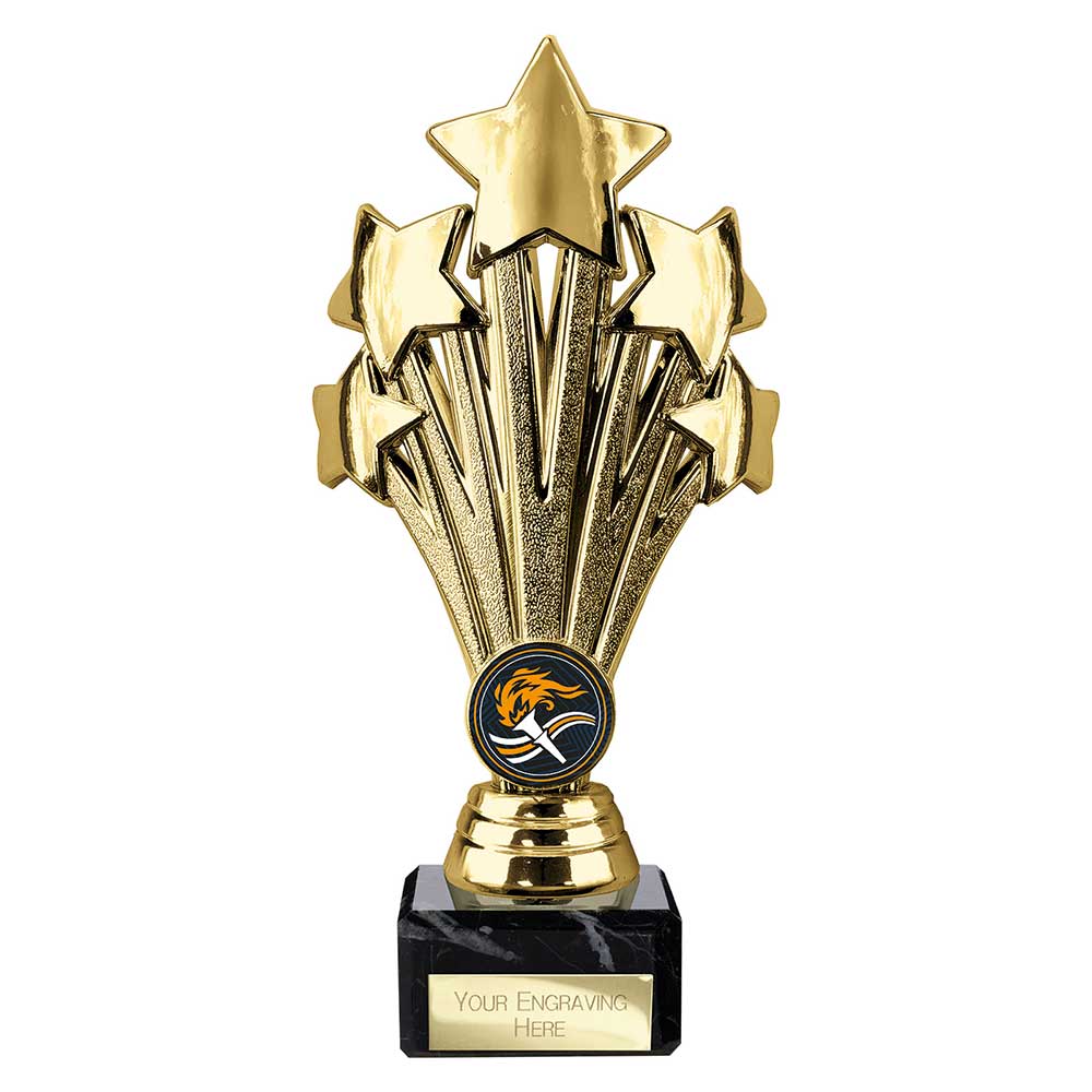 Multisport Award