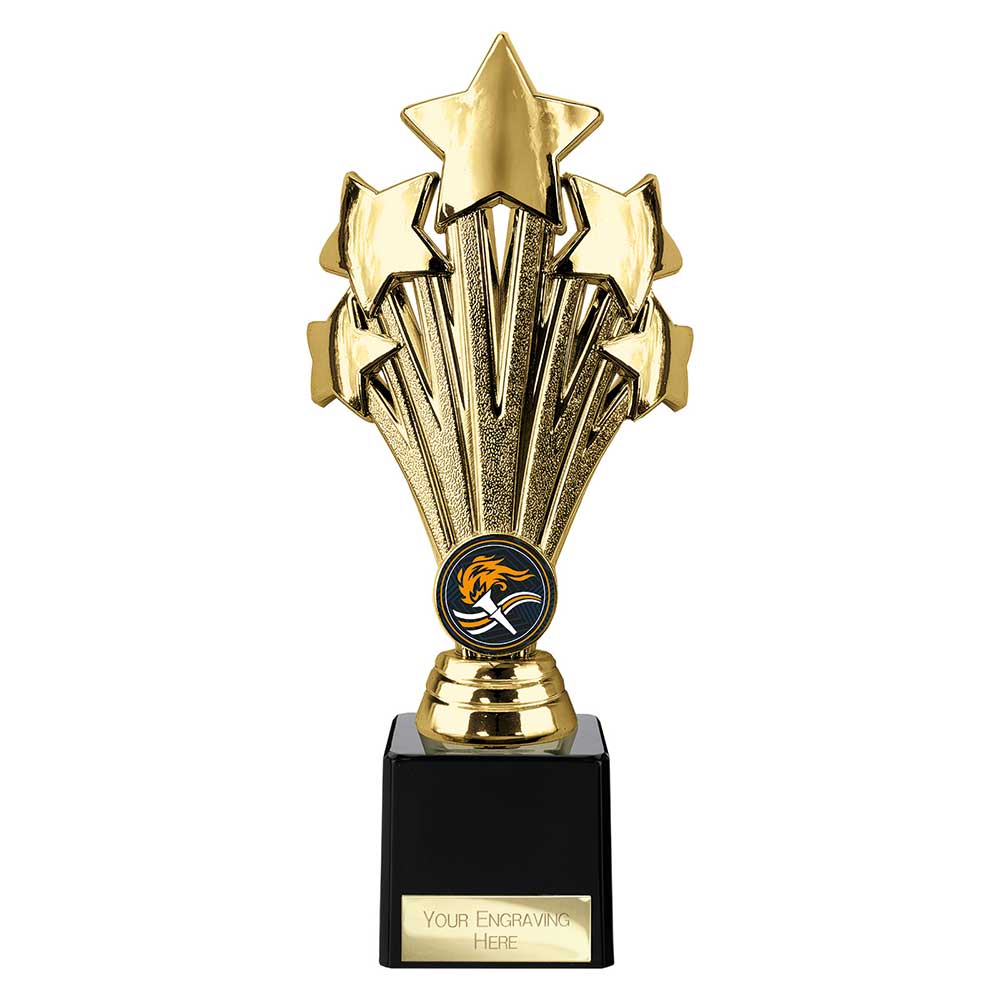 Multisport Award