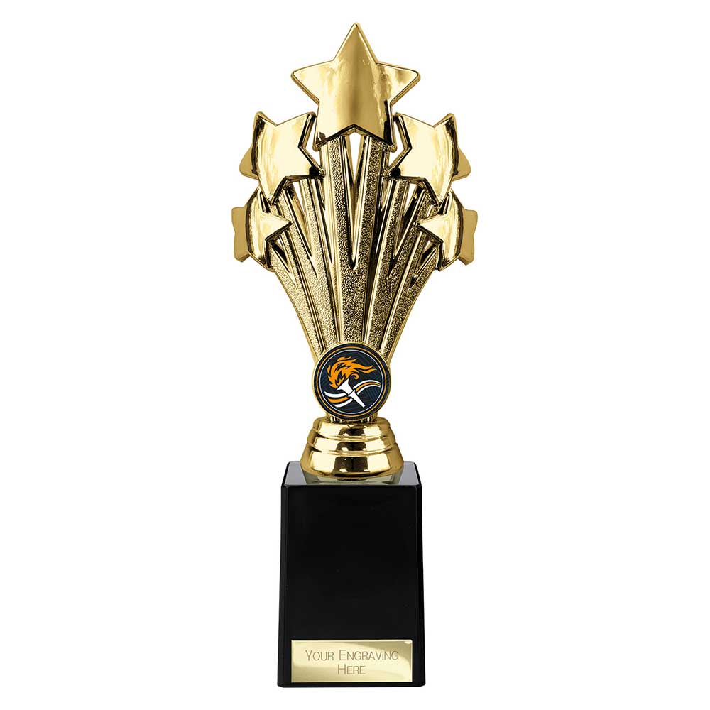 Multisport Award