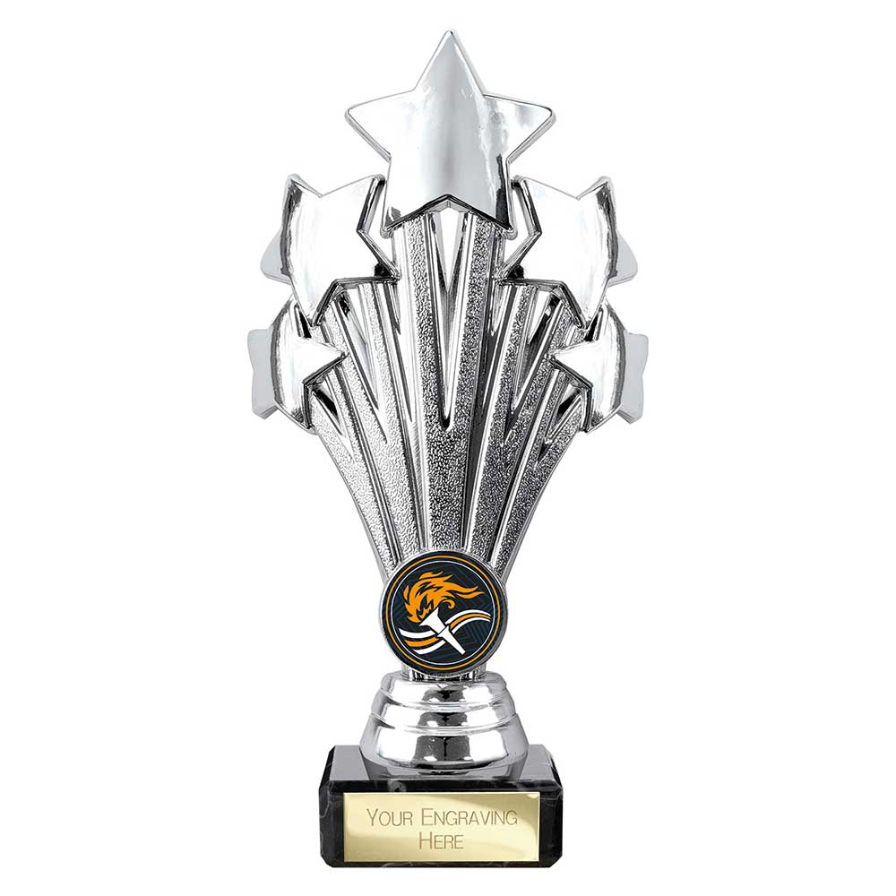 Multisport Award