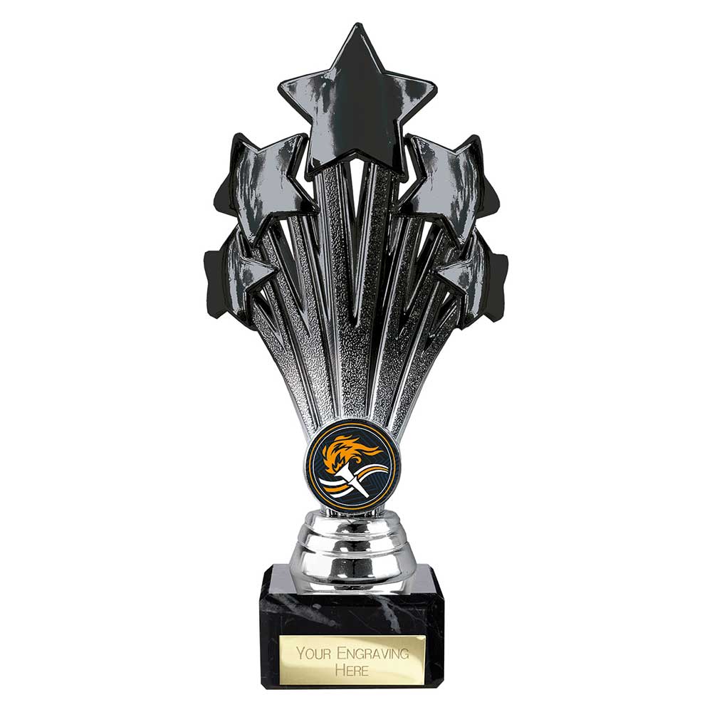 Multisport Award