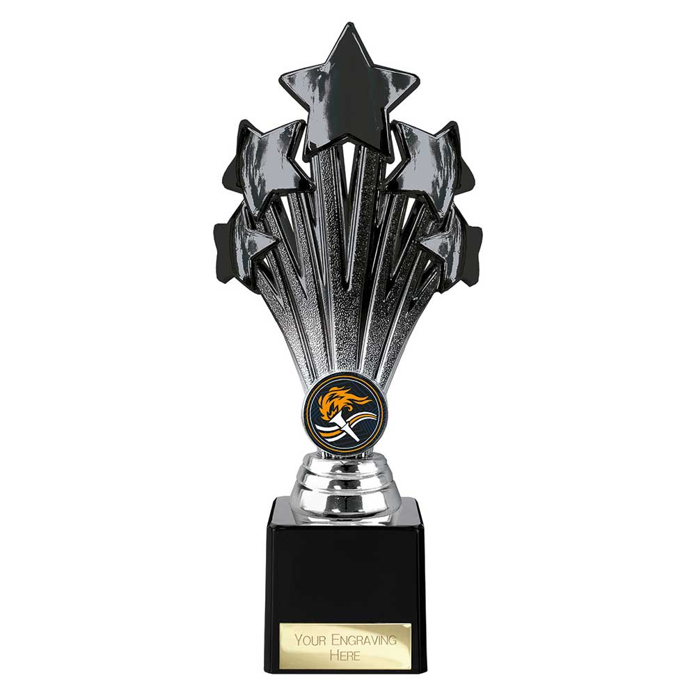 Multisport Award