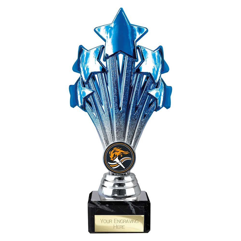 Multisport Award