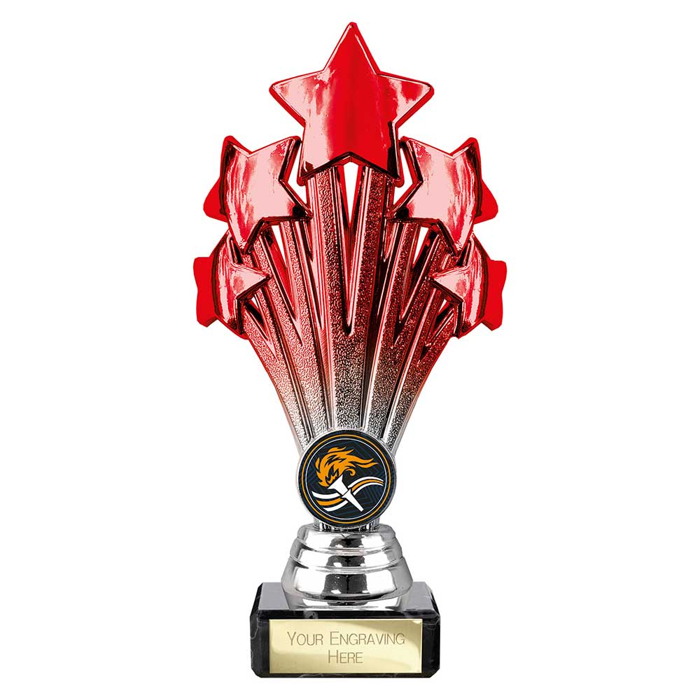 Multisport Award