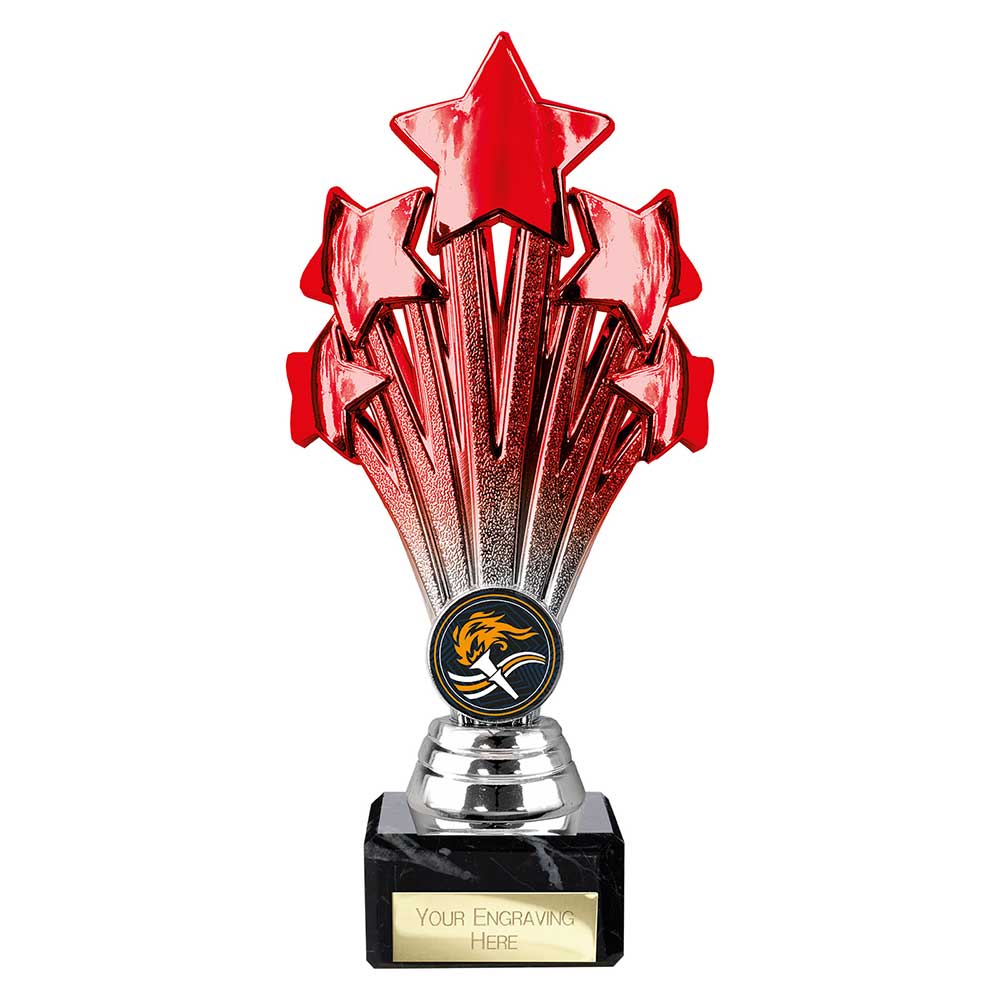 Multisport Award