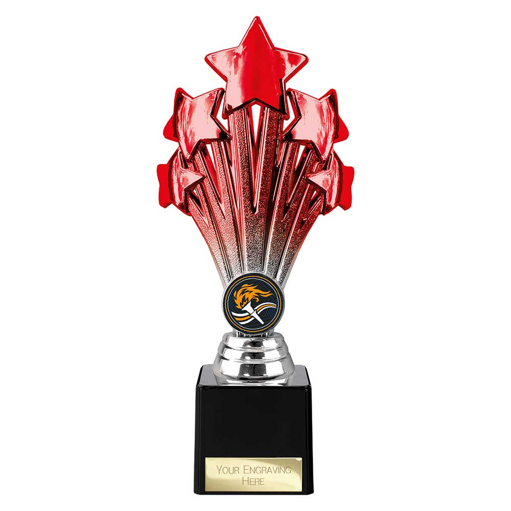 Multisport Award