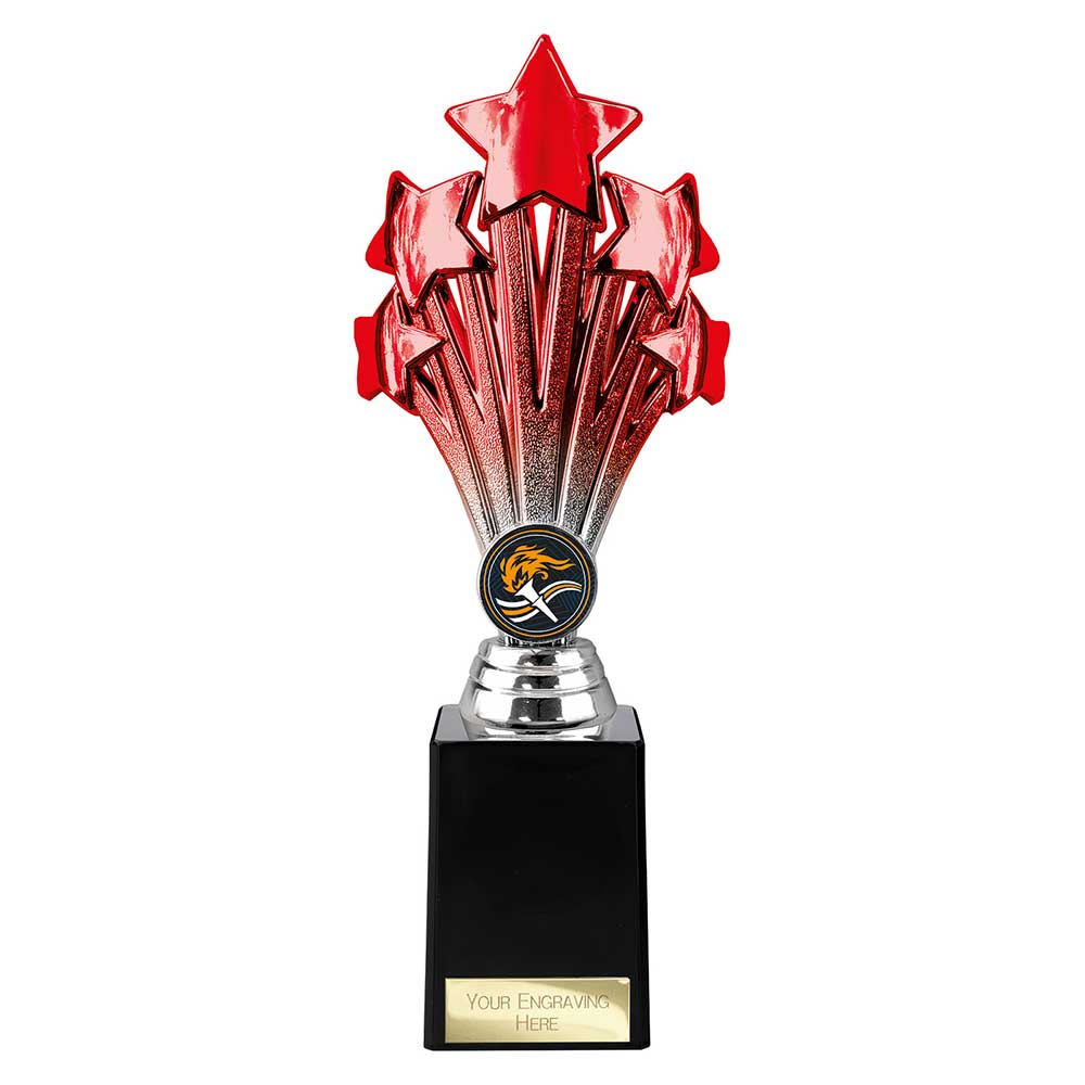 Multisport Award