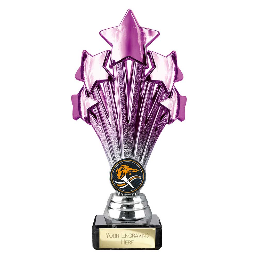 Multisport Award