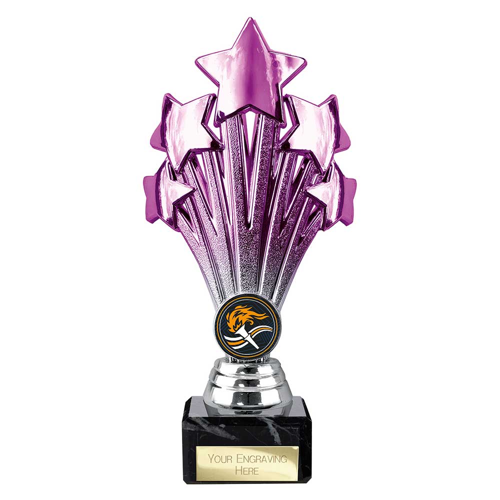 Multisport Award