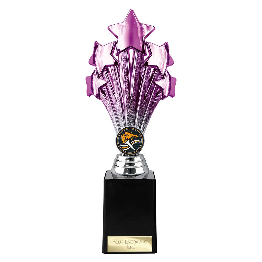 Multisport Award