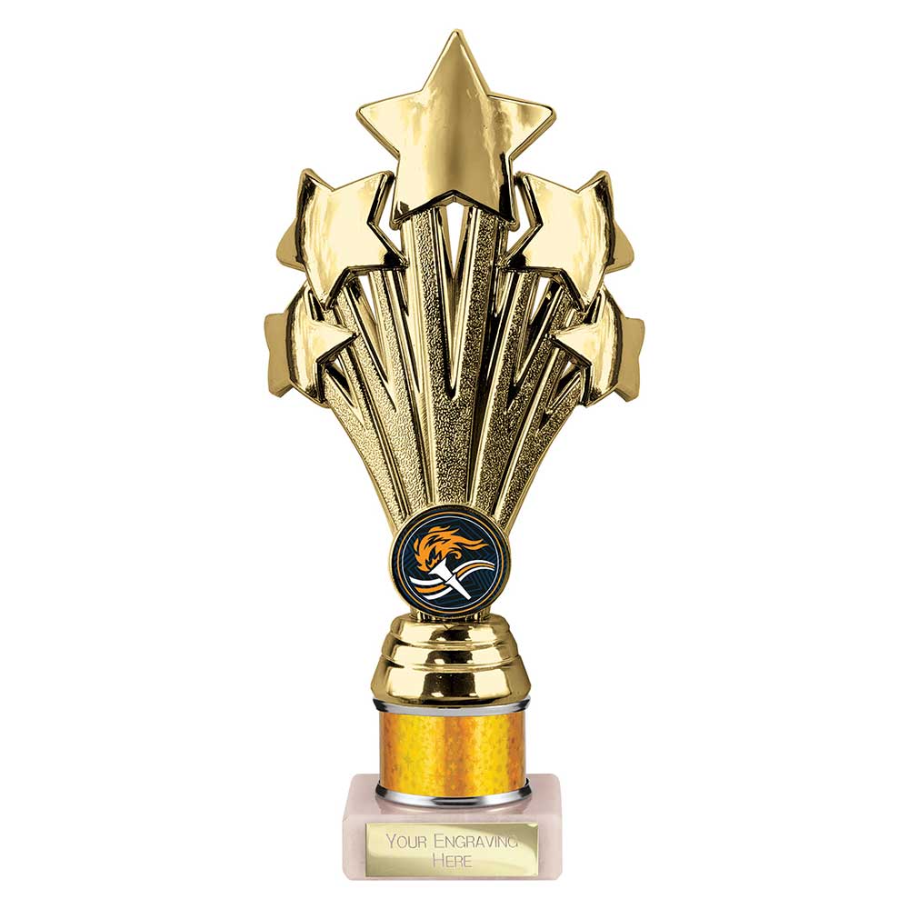 Multisport Award