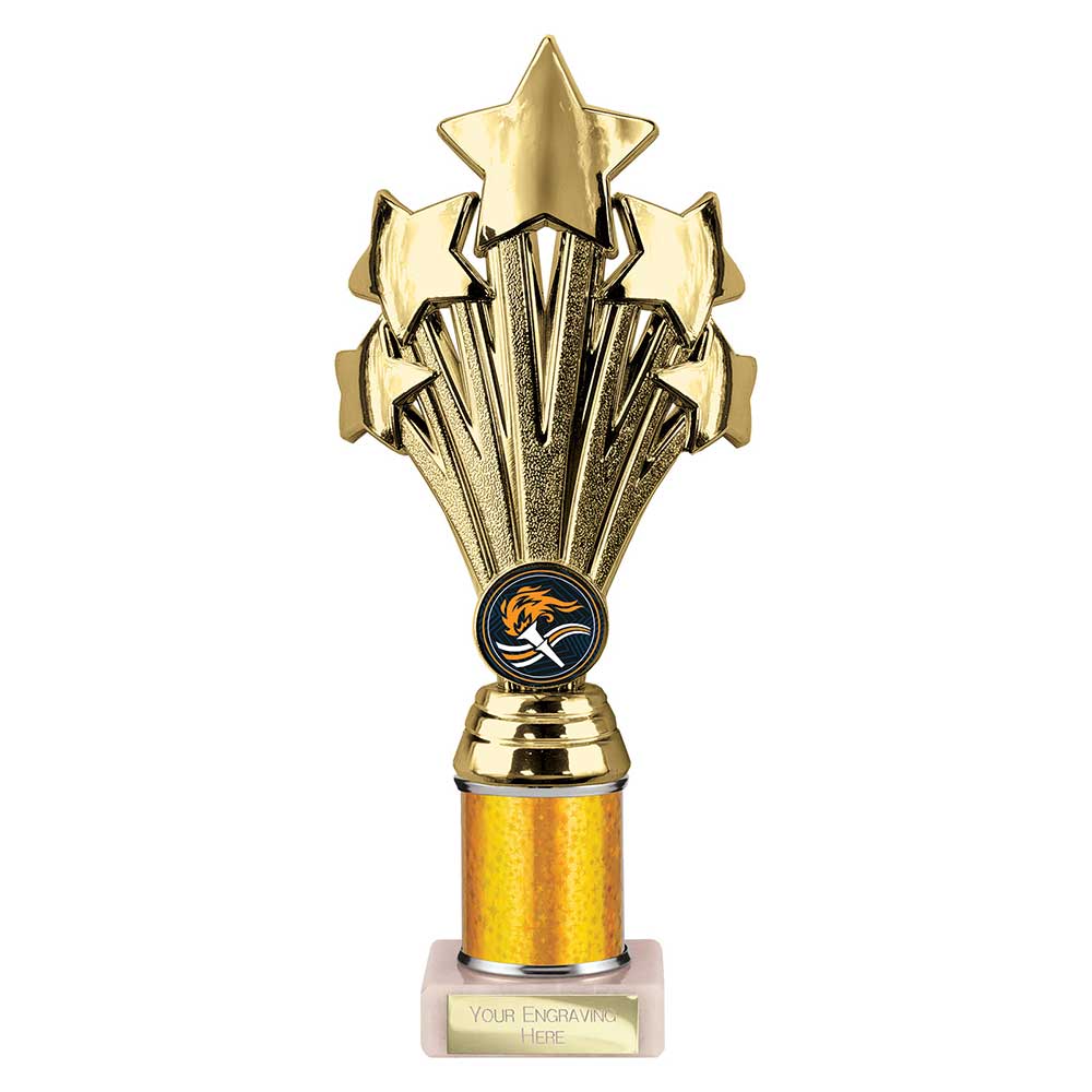 Multisport Award