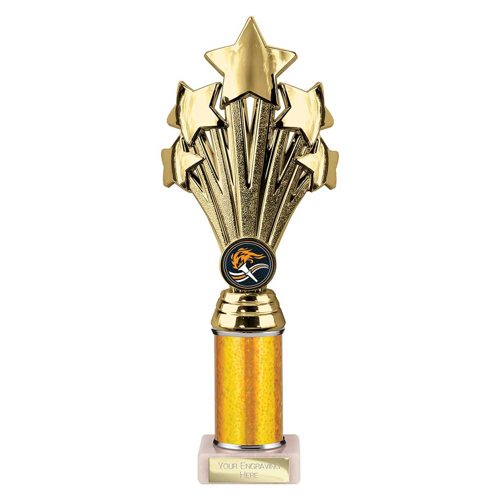Multisport Award