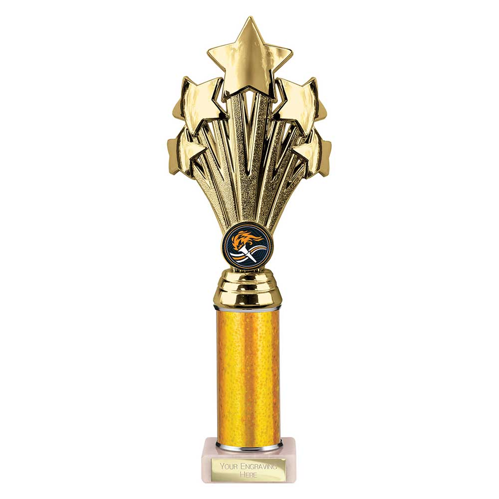Multisport Award